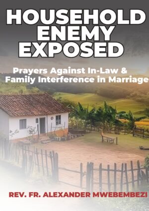 Household Enemy exposed